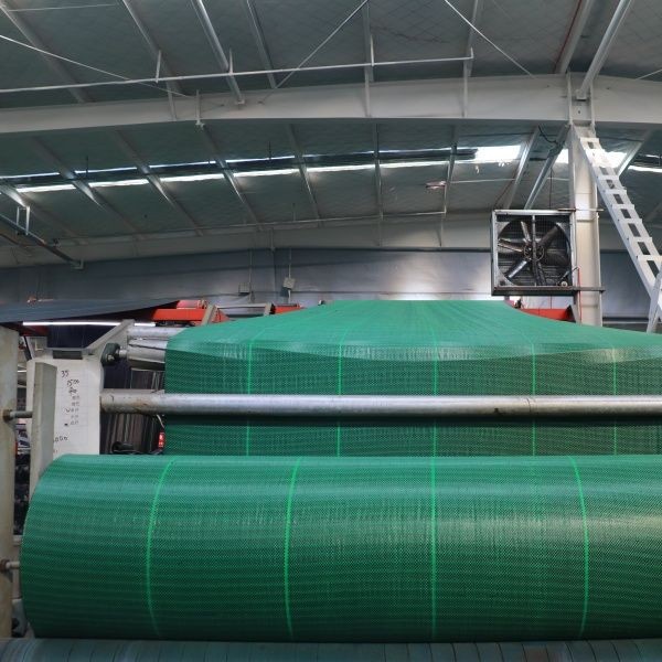Green Square Weed Control Fabric Sheet suppliers