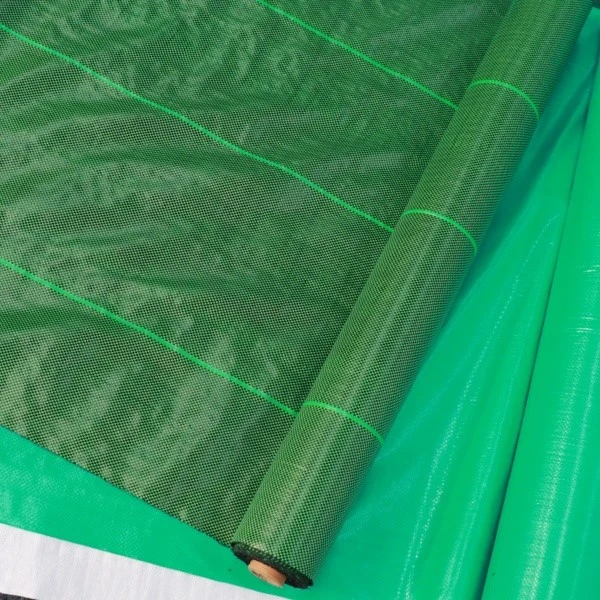 product-600-600