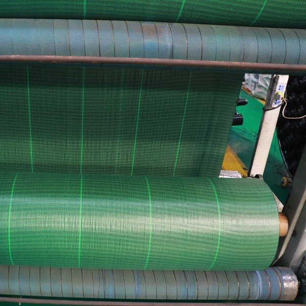 Small Green Weed Control Fabric Sheet best